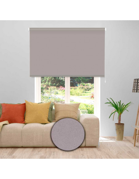 Estor enrollable albany translúcido colores lisos 106 - plata