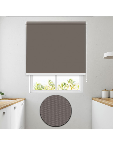 204-topo-Roma-Draco-opaco-estor-enrollable