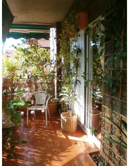 Persiana alicantina madera teñida barnizada o pintada "a medida"