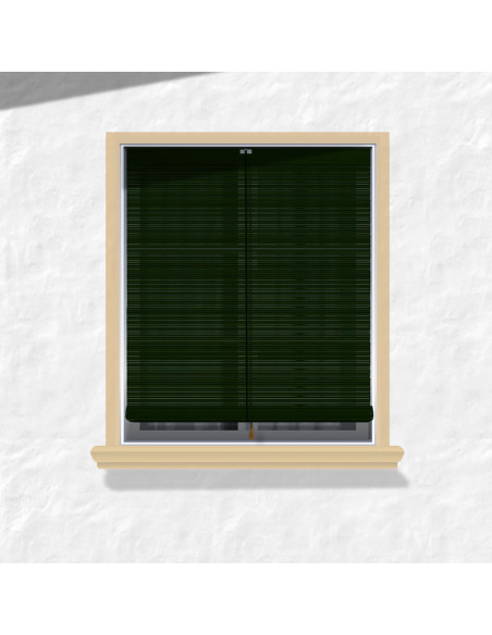 9.-persiana-esterilla-exterior-ceylan-VERDE-carruaje